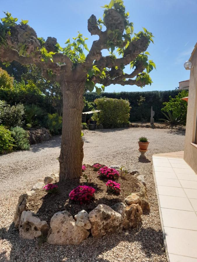 Flayosc Gite Provencal Independant Avec Piscine Chauffee : Le Suy Bien מראה חיצוני תמונה